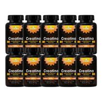 Kit 10x Suplemento Creatina 500mg 120 Cápsulas - CHAMEL