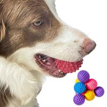 Kit 12 Bolinhas Com Cravos Para Pets Líder Brinquedos Cachorros Gatos Bichinhos Animais De Estimação