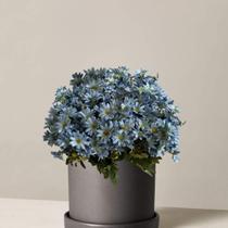 Kit 12 Buquês Flor do Campo para Decoração de Flores Artificiais: Preço Atacado e - DE4423