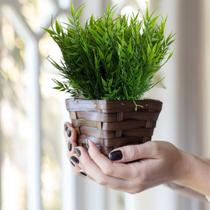 Kit 12 buques folhagem de bambu Parede Verde Artificial: planta permanente Ambientes Internos 35cm