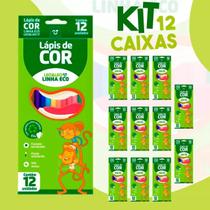 Kit 12 Caixas De Lápis de Cor Grande com 12 Unidades Atacado