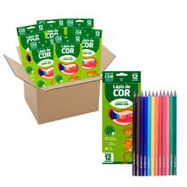 Kit 12 Caixas Lápis 12 cores Sextavado Ecológico