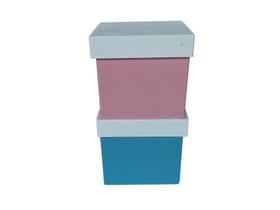 KIT 12 caixinhas multifulcional AZUL E ROSA 6 de cada cor