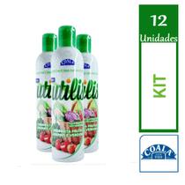 Kit 12 Coala Desinfetante de Hortifrutícolas Utilis 300ml
