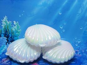 Kit 12 Conchas Marinha Sereia Pérola Branca / Dourado Lembrancinha Decoração