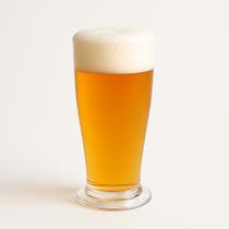 Kit 12 Copos Tulipa P/ Chopp Cerveja Acrílico 300ml PREMIUM