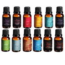 Kit 12 Essências Liquidas Umidificador Orixás 15 Ml