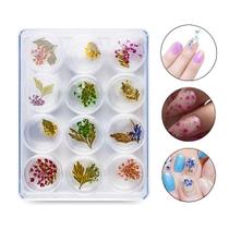 Kit 12 Flores Folhas Secas Encapsulamento Decoração Unhas