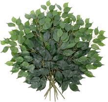 Kit 12 Folhas Planta Verde Folhagem Folhas de Fícus