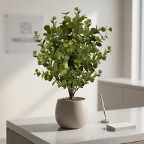 Kit 12 Galhos Verdes Decorativos de Eucalipto Arranjos Elegantes para Festas e Eventos