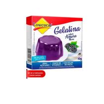 Kit 12 gelatina amora zero acucar baixo teor de sodio nao contem gluten lowcucar 10g