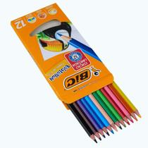 Kit 12 Lápis de Cor Bic Volta as Aulas Escolar