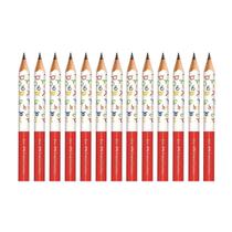 Kit 12 Lápis Jumbo Escolar Infantil BIG Grosso Triangular Nº 2 HB Faber Castell