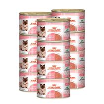 Kit 12 latas Royal Canin Baby Cat Instinctive 195 g