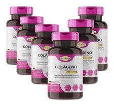 Kit 12 Meses Colágeno Hidrolisado Verisol Completo com Vitaminas e Minerais 120 capsulas