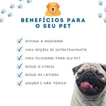 Kit 12 Mordedores Diversos Brinquedo P/ Cachorros Pequenos