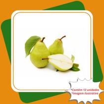 Kit 12 Mudas de Pera DÁgua Enxertadas Pyrus Communis.