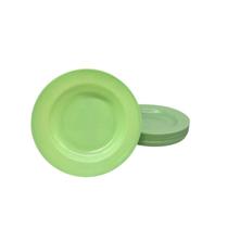 Kit 12 Pratos Fundo Melamina 25cm Verde Restaurante Buffet Kit 12 Pratos Fundo Melamina 25cm Verde Restaurante Buffet