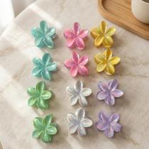Kit 12 Presilha Flor Blogueira 6cm Piranha Tendencia Varias Cores