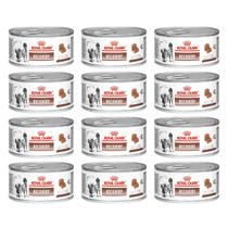 Kit 12 Ração Úmida Royal Canin Recovery Lata Cão E Gato 195g Kit 12 Ração Úmida Royal Canin Recovery Lata Cão E Gato 195g