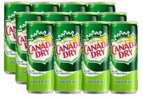 kit 12 REFRIGERANTE CANADA DRY GINGER ALE LATA 330ML