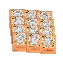 Kit 12 Sache Perfumado Flor de Laranjeira 15g Giorno Casa
