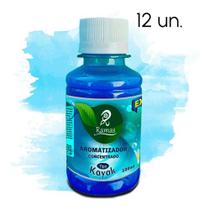 Kit 12 Un Essência Concentrado Puro Aromatizante 100ml faz 5 Litros - Ramas Fragrâncias