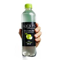 Kit 12 Unidades Água Saborizada Aquilys Premium 500ml Sabor:Maçã Verde Kit 12 Unidades Água Saborizada Aquilys Premium 500ml Sabor:Maçã Verde
