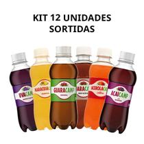 Kit 12 unidades Guaracamp Pet 250ML sabores