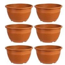 Kit 12 Vasos P Planta Cacto Suculenta Rosa Deserto Flores Kit 12 Vasos P Planta Cacto Suculenta Rosa Deserto Flores