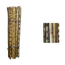 Kit 12un Tutor Estaca De Bambu Preto P/ Plantas com 95cm