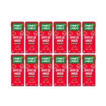 Kit 12x Suco de Maçã Integral Caixinha 200ml Campo Largo