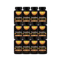 Kit 12x Suplemento Creatina 500mg 120 Cápsulas - CHAMEL