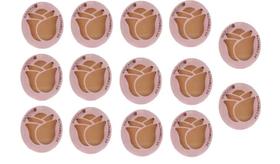 Kit 14 Pó Compacto Cor 05 Pêssego 10gr - Ramona Make Up