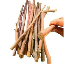 Kit 15 GalhoS Natural Fino com Diâmetro entre 0,9 a 1,5 cm Rústico para Diy Artesanato Decoração Kit 15 GalhoS Natural Fino com Diâmetro entre 0,9 a 1,5 cm Rústico para Diy Artesanato Decoração