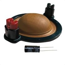 Kit 1un Reparo Compatível Selenium D-250x Utx300 100w 8 Ohms e 1un Capacitor