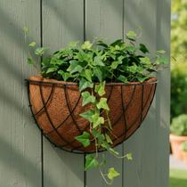 Kit 2 a 7 Vasos de Parede para Plantas Fibra de Coco Meia Lua Flores Samambaia Suculenta