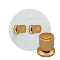 Kit 2 Acabamentos para Registro Dourado Crie Construa