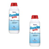 Kit 2 Algicida Choque P/Piscina Elimina Algas Domclor 1 Litros