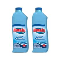 Kit 2 Algicida De Manutenção Para Piscina Hidroall 1 Litro