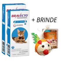 Kit 2 Antipulgas Bravecto Transdermal Gatos 2,8 a 6,25kg 250mg