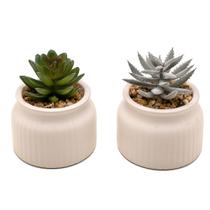 Kit 2 Arranjos Artificial Planta Suculenta Verde Vasos Vasinhos Cerâmica Consultório Kit 2 Arranjos Artificial Planta Suculenta Verde Vasos Vasinhos Cerâmica Consultório