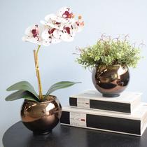Kit 2 Arranjos de Orquídea e Peperômia no Vaso Bronze Formosinha