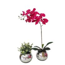 Kit 2 Arranjos Flores de Orquídea Real Vaso Prata Dinis