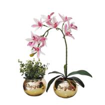 Kit 2 Arranjos Luxo flor de Orquídea real no vaso Carlin - La Caza Store