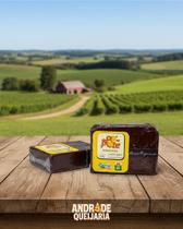 Kit 2 Barras Bananada Orgânica Sem Açúcar 450g Do Pé ao Pote 900g Total