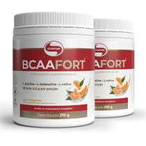 Kit 2 Bcaa Fort Vitafor Vegano 210G Tangerina