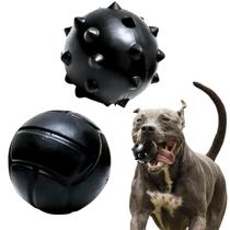 Kit 2 Bola Brinquedo Pet Resistente Maciça 95 Mm Cachorro Grande