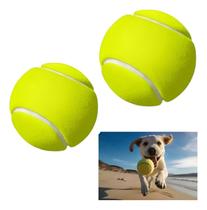 Kit 2 Bolas De Tênis Pet Para Cães Gato Cachorro Rígida