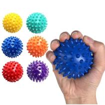 Kit 2 Bolinha Mini Cravo Para PETS Pet Massageadora Stress